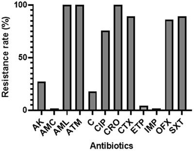Prevalence and characterization of <mark class="highlighted">ESBL-producing Escherichia coli</mark> in healthy pregnant women and hospital environments in Benin: an approach based on Tricycle